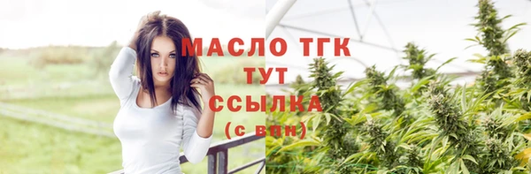 сатива Аркадак