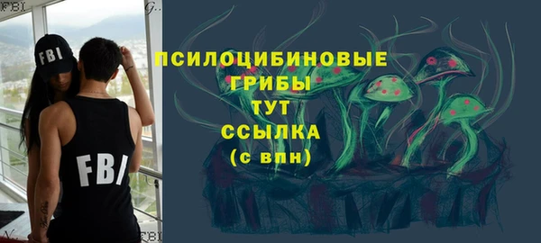 сатива Аркадак