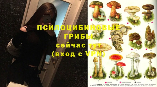 гидра Армянск