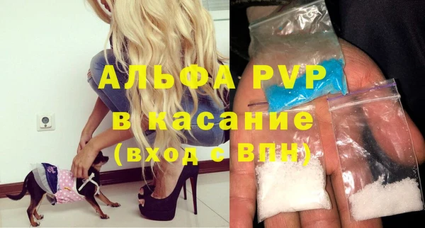 сатива Аркадак
