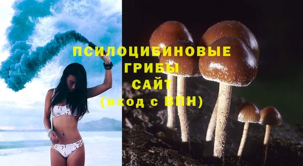 гидра Армянск